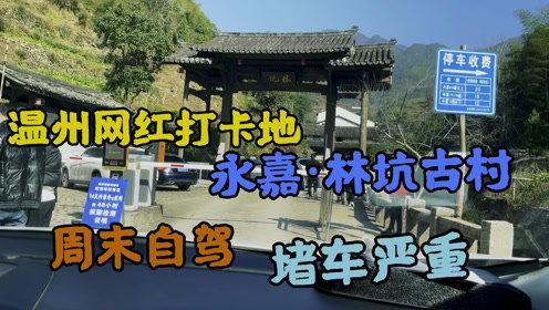 林坑网红打卡餐厅,探寻美食与美景的完美融合